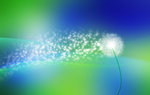 Abstract Fantasy Wallpapers: Picture 84935