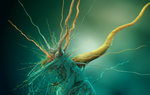 Abstract Fantasy Wallpapers: Picture 84925